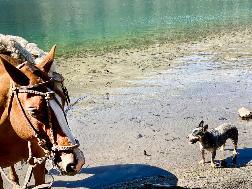 PatagoniaLR_Website-22